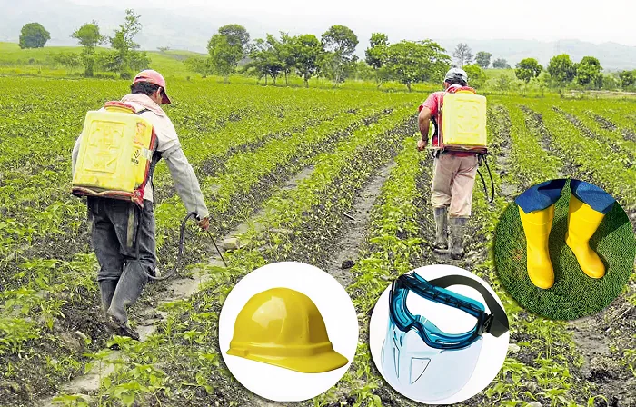 Imagen representativa del sector Agropecuaria